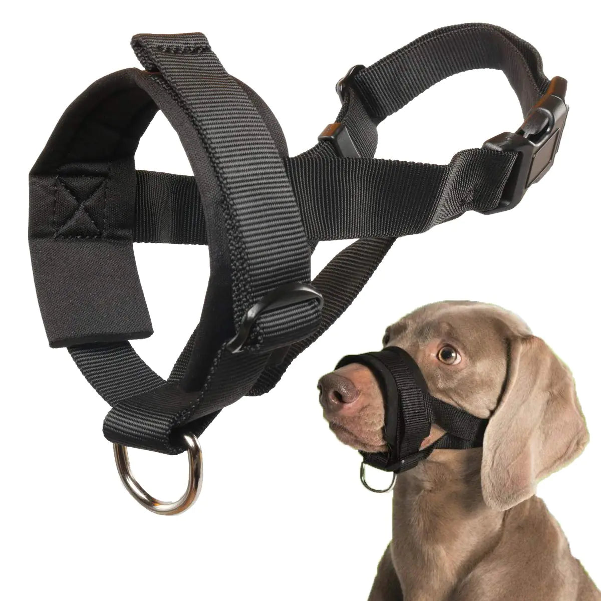 Dog Muzzle for Small Medium Large Dogs Anti Biting Barking Chewing with Soft Padding and Adjustable Loop