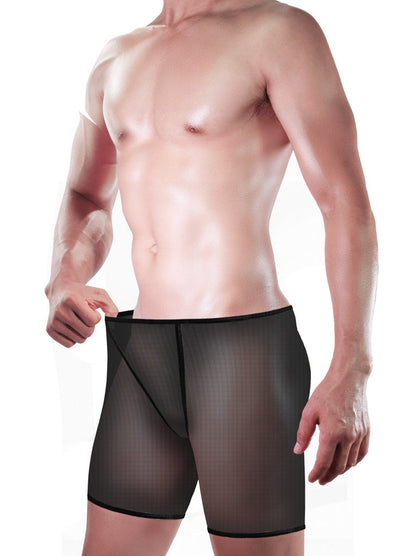 Men's Sexy Underwear Underwear Fine Mesh Big Boxer Underwear