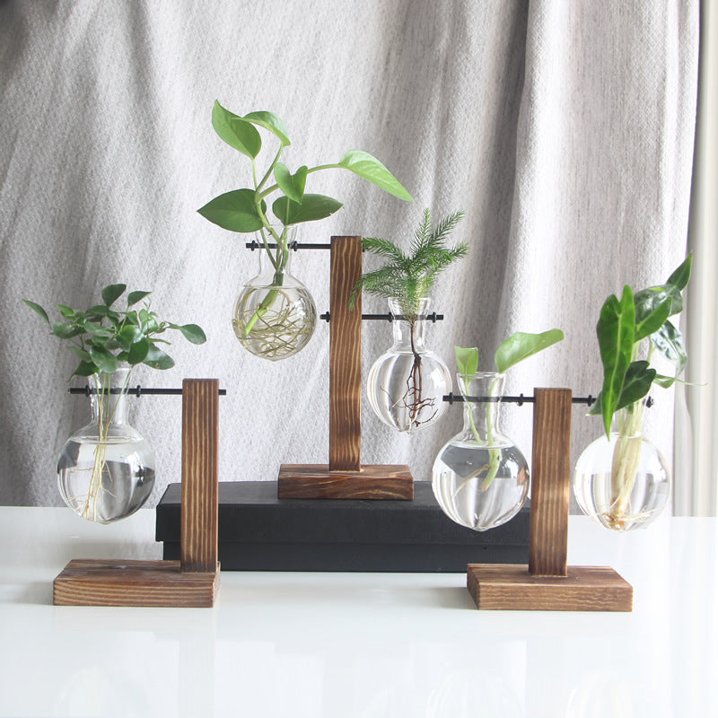 Transparent Bulb Vase with Wood Stand. For hydroponics. Great for coffee shops & room decor.