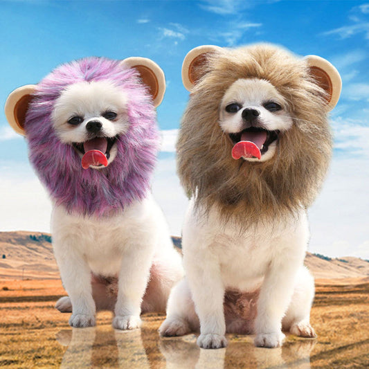 Lion Turns Into Halloween Ghost Pet