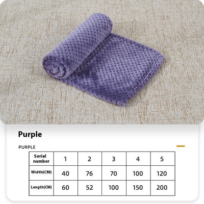 Summer Coral Fleece Blanket For Dogs Sleeping Pets