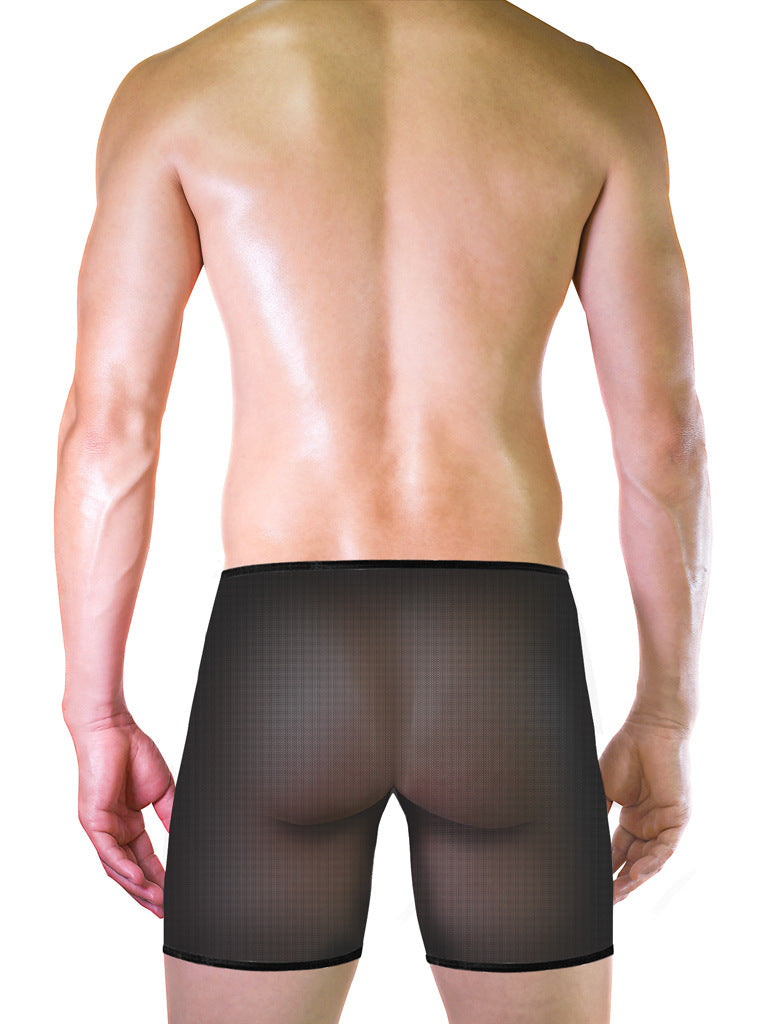 Men's Sexy Underwear Underwear Fine Mesh Big Boxer Underwear