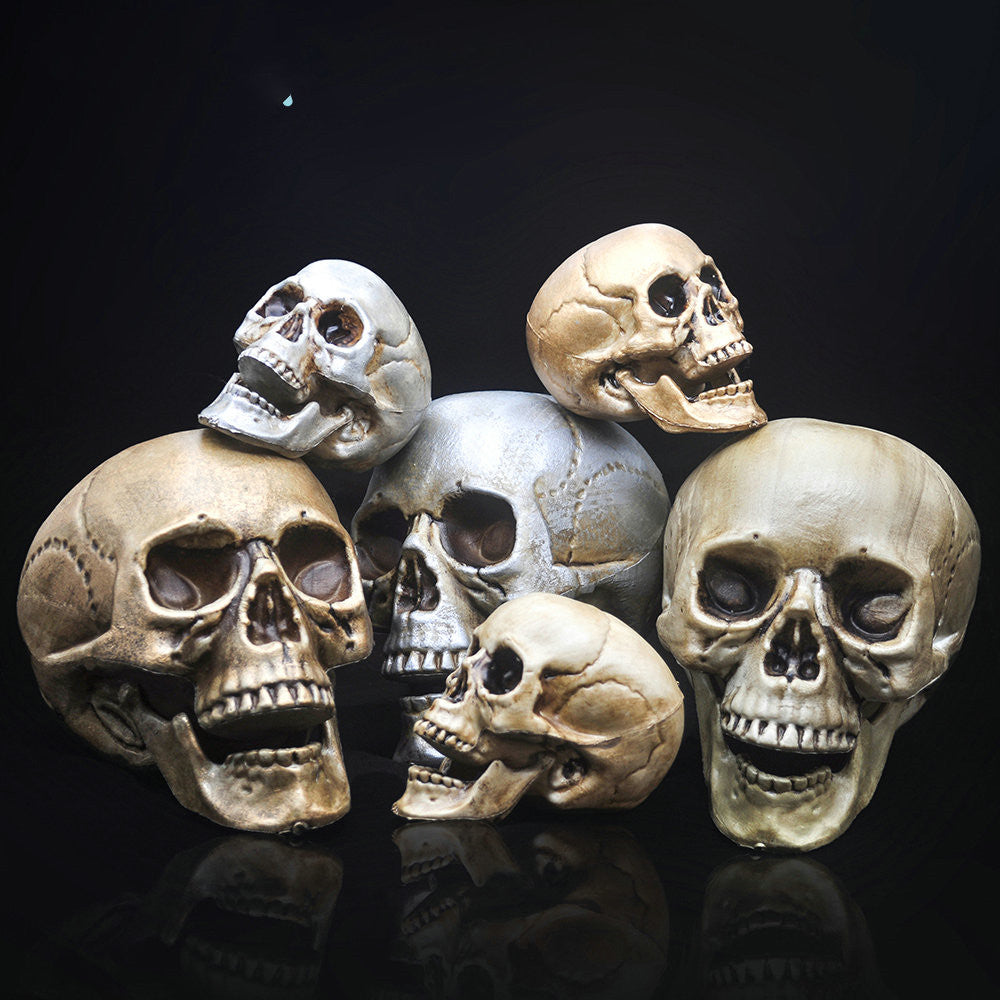 Skull Decor Prop Skeleton Head Plastic  Model Halloween