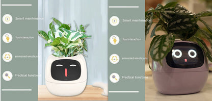 Smart AI Planter with Expressions and Sensors