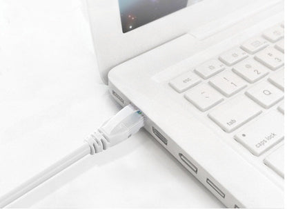 Cat6 network cable