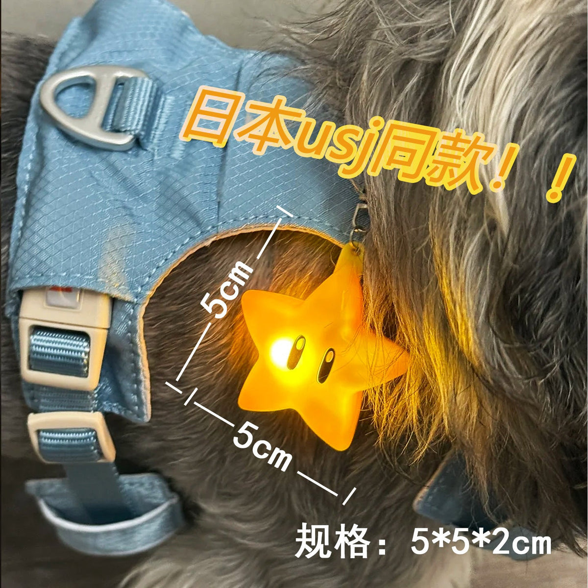 Nighttime Dog-Walking Pendant Light A Tiny Anti-Lost Accessory For Your Furry Friend