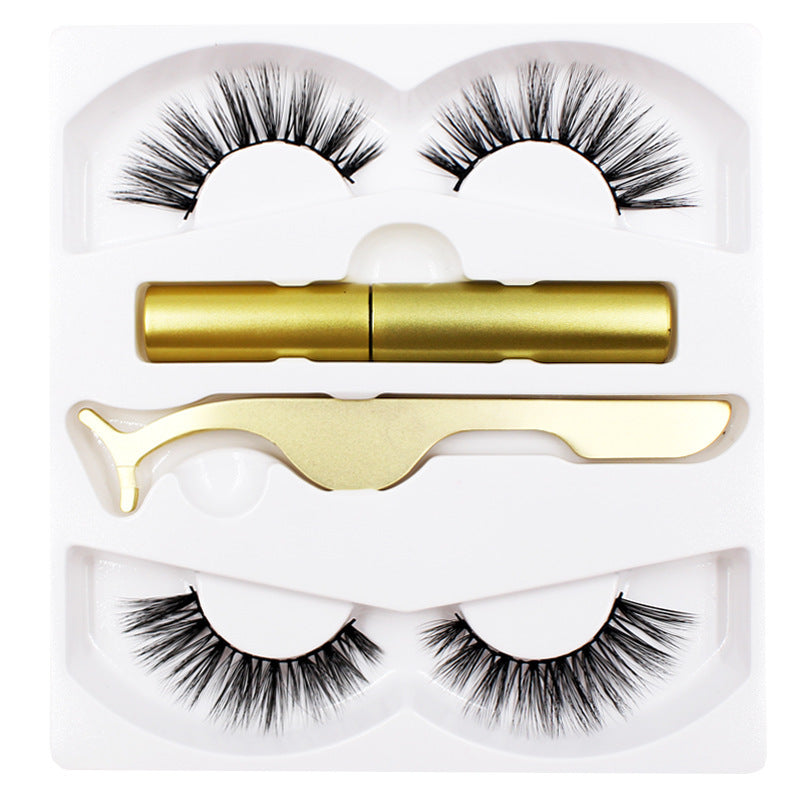 Magnetic Eyeliner & Lash Set
