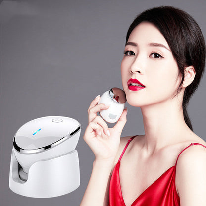 Electric Ultrasonic Facial Cleansing Instrument