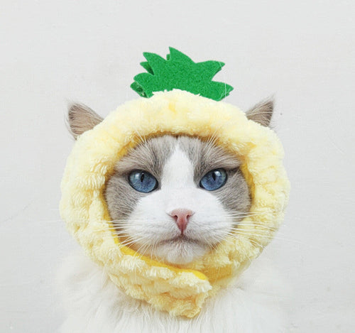Cute Pineapple Cat Hat Warm Puppet Headdress