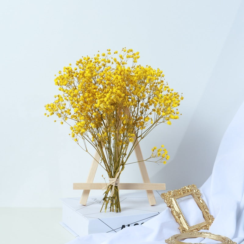 Gypsophila Dried Flower Bouquet, Living Room Decor