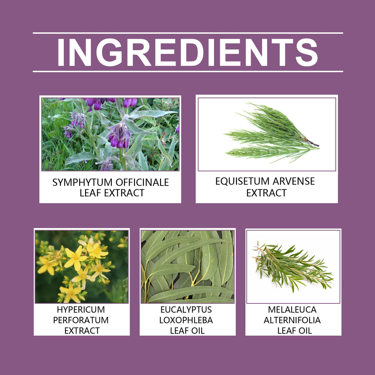Herbal Joint Care Ointment Relieves Discomfort By Massaging Joints And Knees With A Treatment Cream