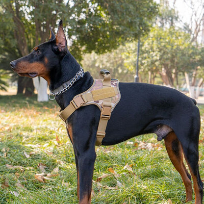Tactical dog vest: for large dogs (German Shepherd, Golden Retriever) – training, military-style accessories.