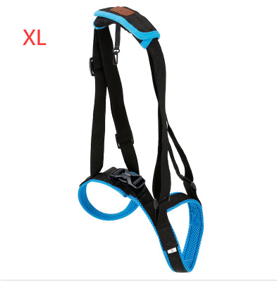 Pet Leg Strap Walking Support Dog Leg Support