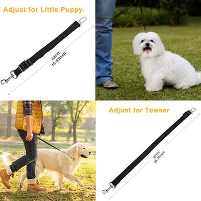 2-Pack: Multipurpose Pet Safety