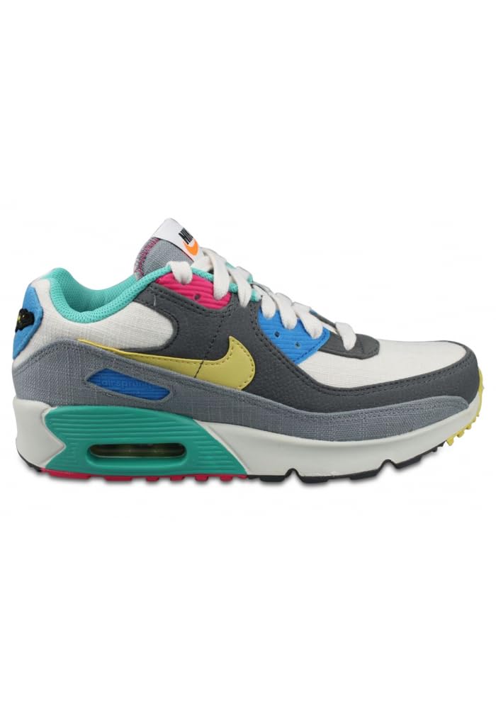 Nike Air Max 90 (Big Kid)
