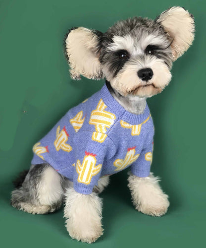 Pet cactus sweater