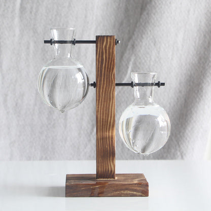 Transparent Bulb Vase with Wood Stand. For hydroponics. Great for coffee shops & room decor.