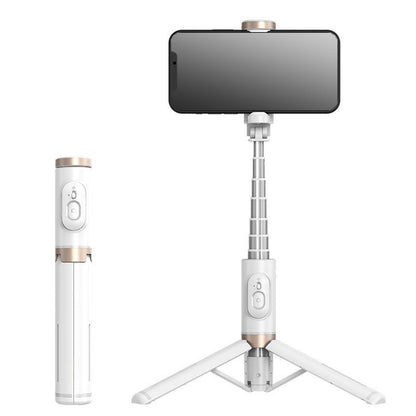 Mobile Phone Bluetooth Selfie Stick with Rotating Fill Light and Hidden Tripod Live Streaming Stand