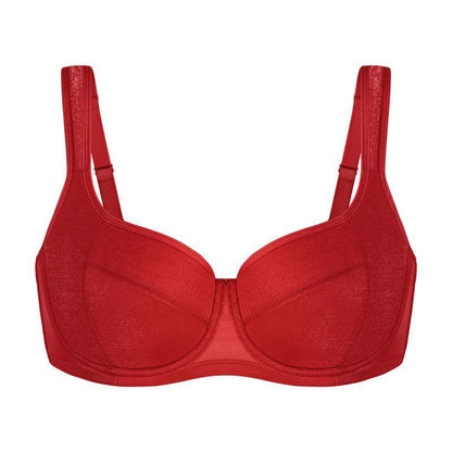 Everyday Bras Whoale Bulk Price Perfect For Women's