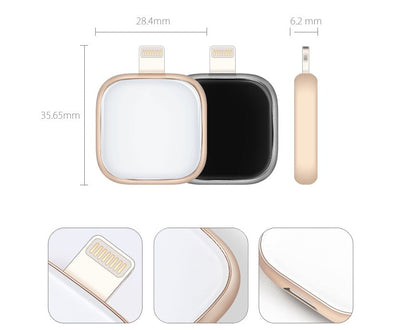 Cell phone dual-use U disk