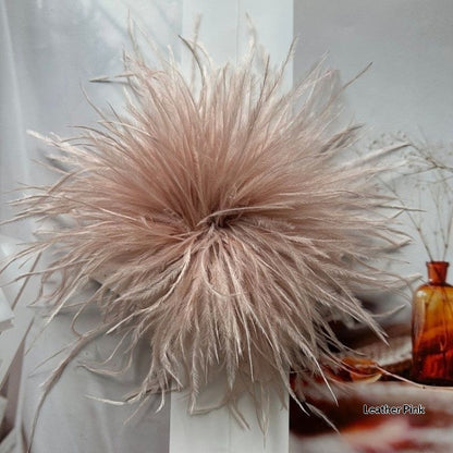 New Colorful Ostrich-feather Brooch Headdress Hair Clip