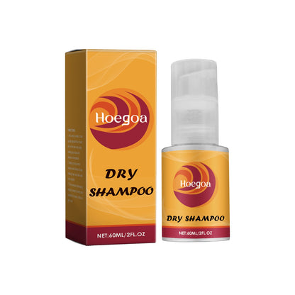 Leave-In Dry Hair Spray