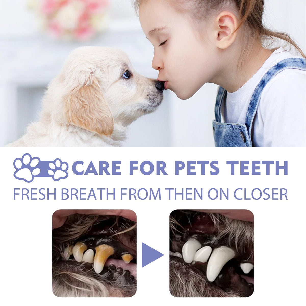 Dog And Cat Tooth Cleaning Spray, Pet Mouth Cleaning Breath Fresh Deodorizing Cleaning Spray