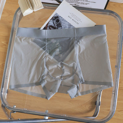 Transparent Sexy Boxer Briefs Mens Shorts