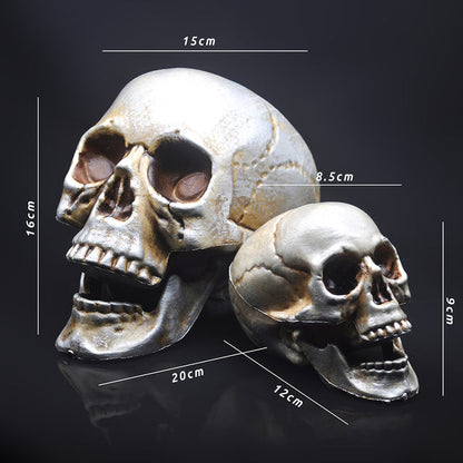 Skull Decor Prop Skeleton Head Plastic  Model Halloween
