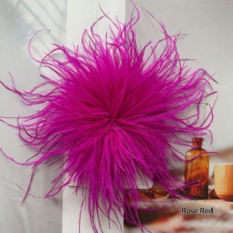 New Colorful Ostrich-feather Brooch Headdress Hair Clip