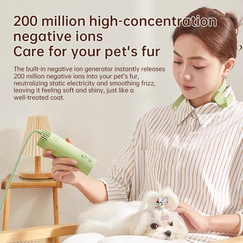 Pet hair dryer for pet care: high power, quiet, energy-saving, dog grooming, fast drying. Only suitable for 220V countries.