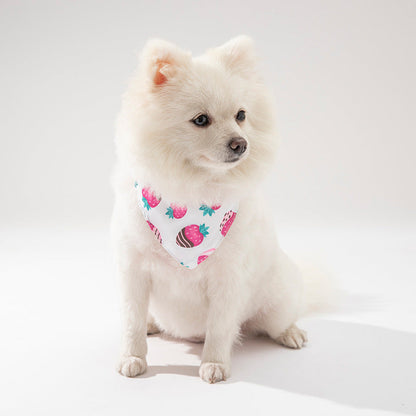 Pet Cat Dog Clothing Accessories