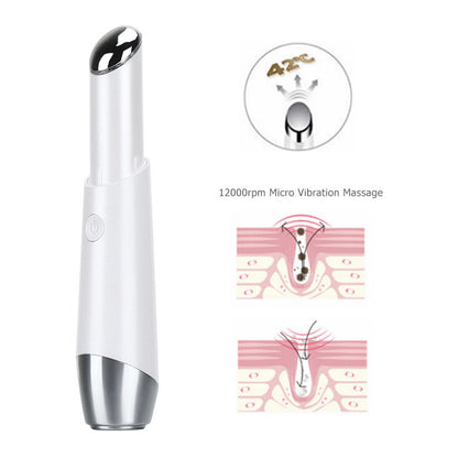 Facial Color Light Importer Heating Vibration Beauty Instrument Ion Eye Importer