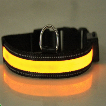 Fluorescent dog collar