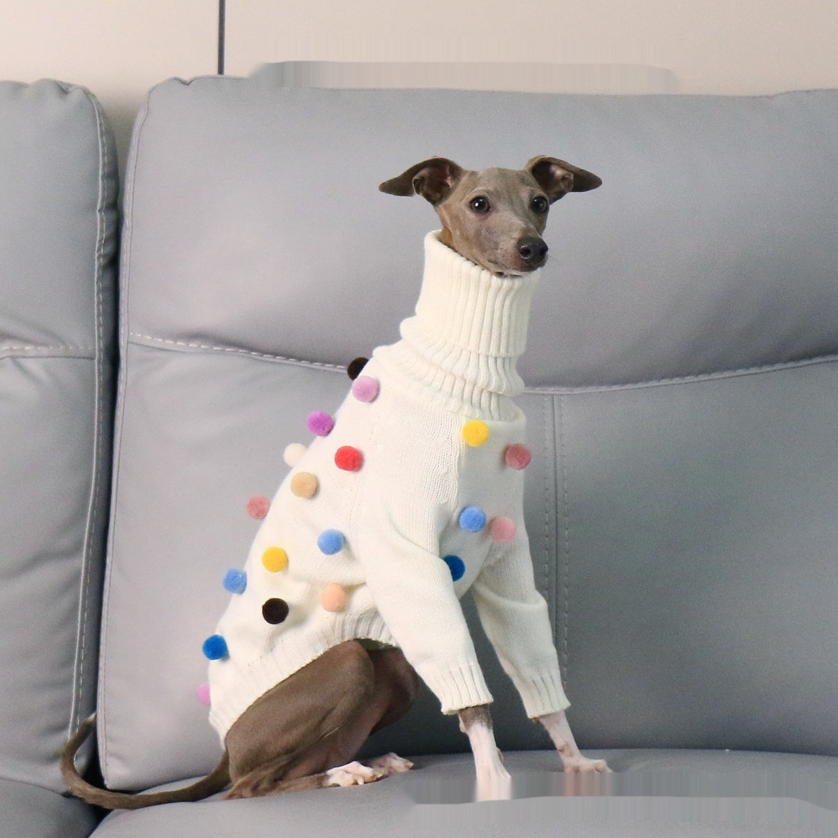 New Italian Greyhound Whippet Christmas Sweater
