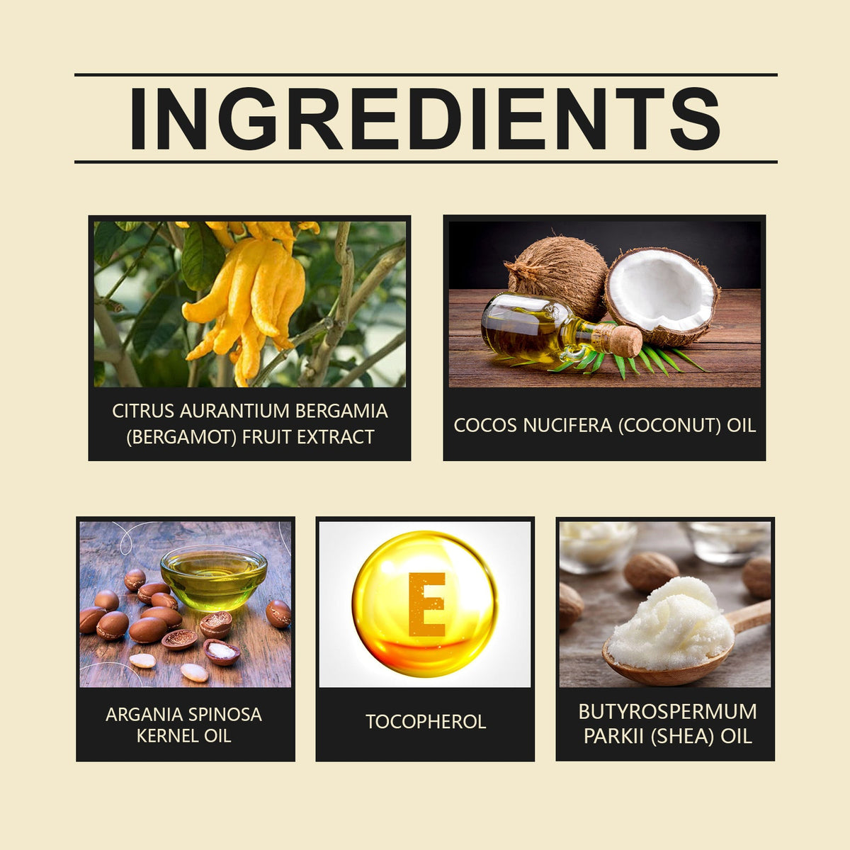 Bergamot Moisturizer Nourishes Skin With A Smooth, Moisturizing, Refreshing, Non-Sticky Skin Care Cream