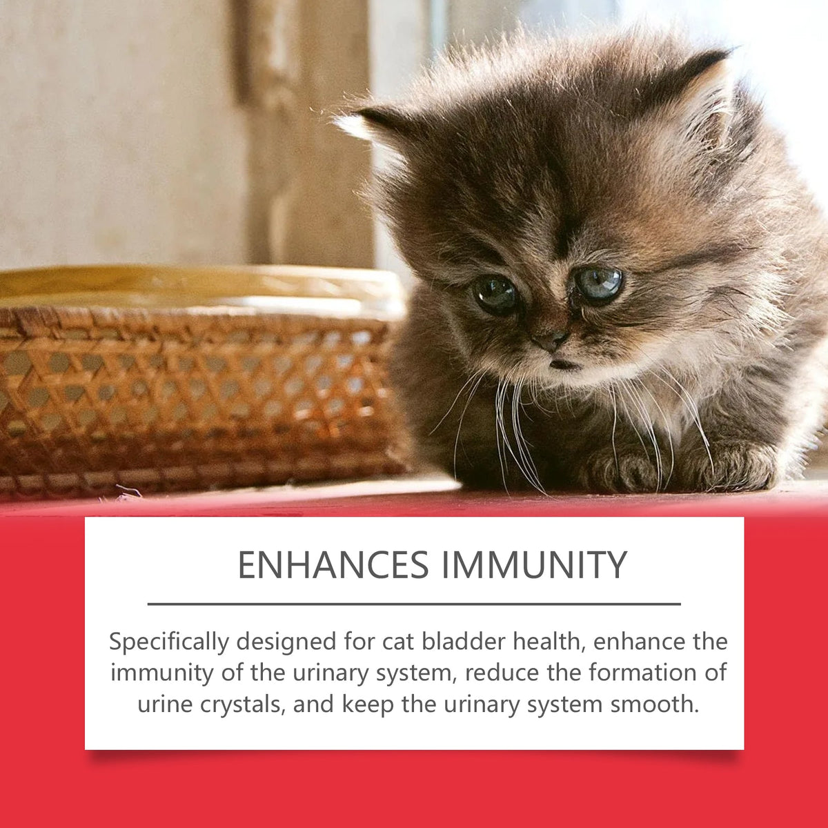 Pet Dietary Supplement, Take Care Of The Pet Body Discomfort Cat To Absorb Nutritional Supplements