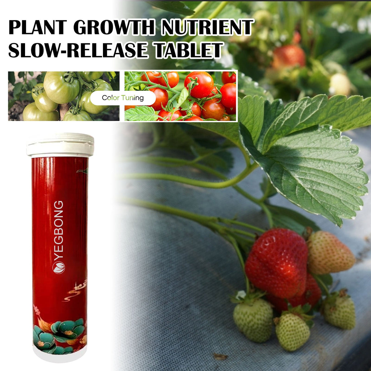 Plant Growth Nutrition Sustained-Release Tablet, Fruit And Vegetable Plant Pot Root Growth Universal Nutrition Tablet