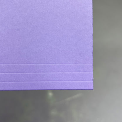 SMEAD (100 PACK) Reinforced File Folder Letter Sz 1/3 Cut Tab Lavender 12434