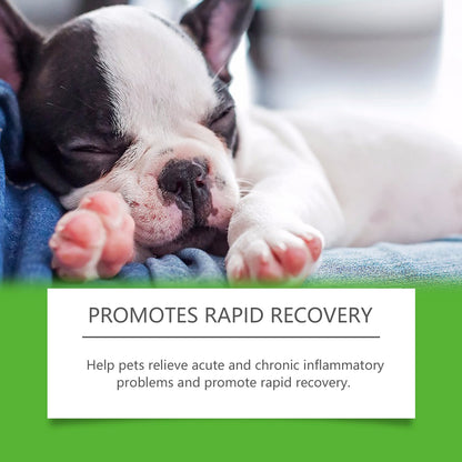 Dietary Supplements For Dogs, To Promote Pet Health Pet Dogs Special Dietary Supplements