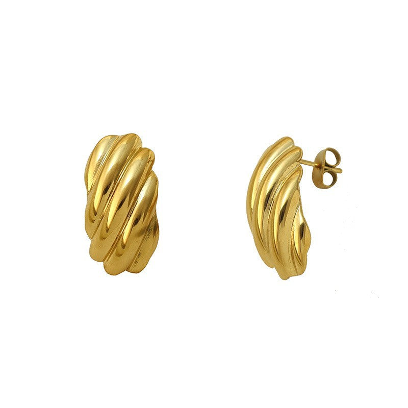 Simple And Versatile Ladies' 316 Stainless Steel Earrings