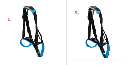 Pet Leg Strap Walking Support Dog Leg Support