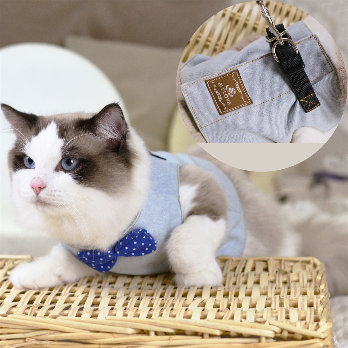 Rope Cat Traction Cat Chest Strap Set Bow