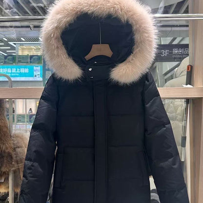 New Winter Short Detachable Padded Fur-collar Insulated Coat