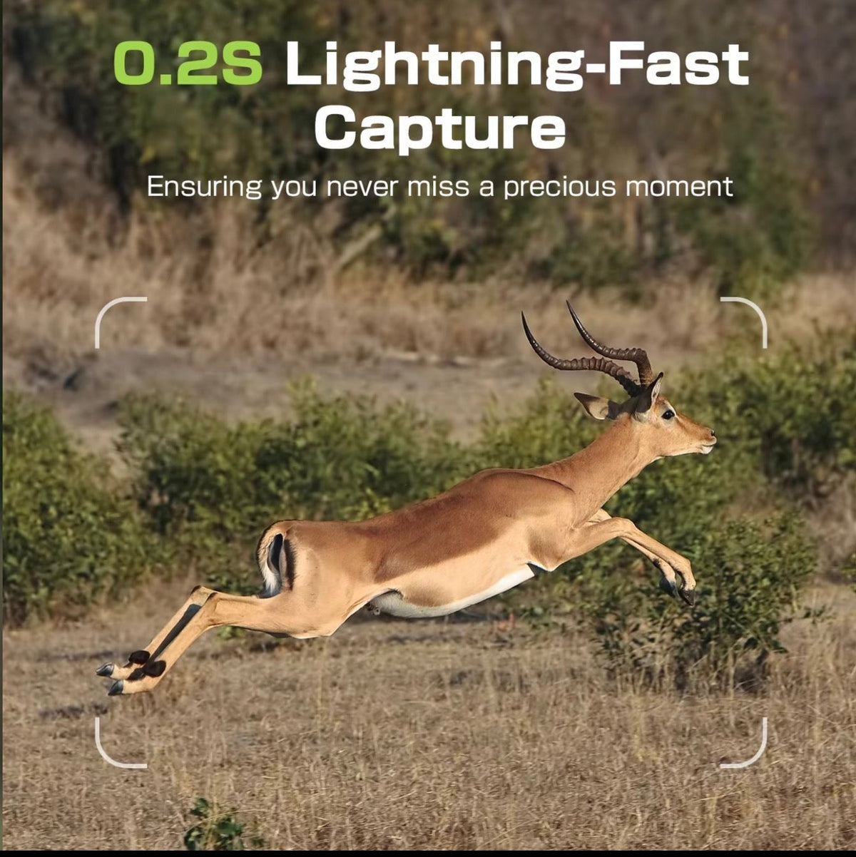 SolarGuard 4G LTE Camera