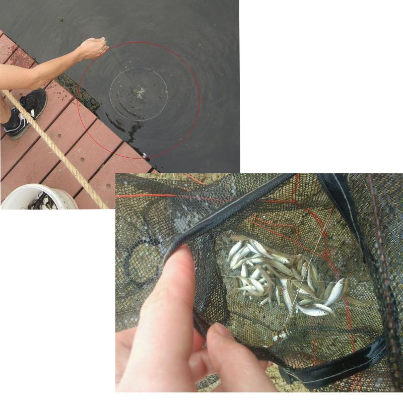 8 Holes Crayfish Automatic Folding Fishing Net Shrimp Cage