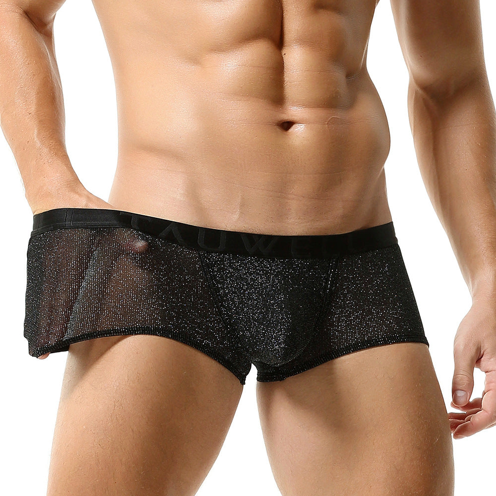 Men's Boxer Briefs Original Design Shiny Men's