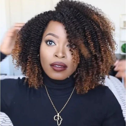 Short Curly Explosion Head Small Curly Wig