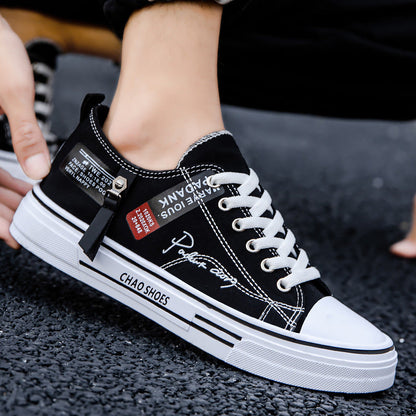 Mens Casual Everyday Canvas Shoes Trend