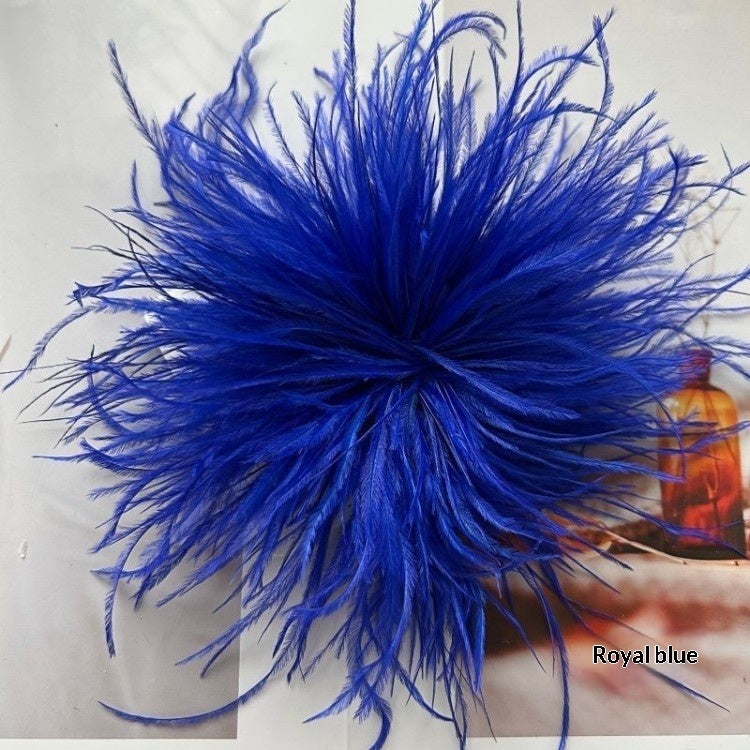 New Colorful Ostrich-feather Brooch Headdress Hair Clip